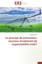 Magali Gandin, Gandin-m - Le principe de precaution: