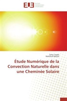 Mahfoud Djezzar, Taha Tayebi, Tahar Tayebi - Etude numerique de la convection
