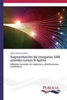 María Juliana Gambini - Segmentación de imágenes SAR usando curvas B-Spline