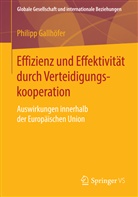 Philipp Gallhöfer - Effizienz und Effektivität durch Verteidigungskooperation