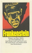 Mary Wollstonecraft Shelley - Frankenstein oder Der moderne Prometheus