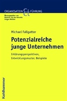 Michael J. Fallgatter - Junge Unternehmen