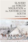 Damian Pargas, Damian Alan Pargas, Damian Alan (Universiteit Leiden) Pargas, Pargas Damian Alan - Slavery and Forced Migration in the Antebellum South