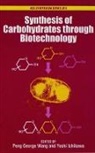 Yoshi Ichikawa, Yoshi (Researcher Ichikawa, Ichikawa Yoshi, Peng George Wang, Peng George (Professor Wang, Peng George Ichikawa Wang... - Synthesis of Carbohydrates Through Biotechnology