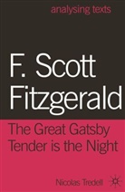 Nicolas Tredell, Tredell Nicolas - F. Scott Fitzgerald: The Great Gatsby/Tender is the Night