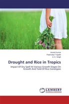 Arvin Kumar, Arvind Kumar, A K SINGH, A. K. Singh, Padmaka Tripathi, Padmakar Tripathi - Drought and Rice in Tropics