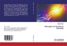 Alexander Pavlov, Victo Pervushin, Victor Pervushin - Principles of Quantum Universe
