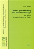 Attila Németh - Dialekt, Sprachmischungen und Spracheinstellungen