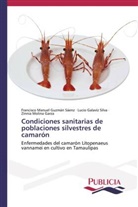 Luci Galavíz Silva, Lucio Galavíz Silva, Francisco Manue Guzmán Sáenz, Francisco Manuel Guzmán Sáenz, Zinnia Molina Garza - Condiciones sanitarias de poblaciones silvestres de camarón