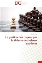 Amine Amar, Amar-a - La gestion des risques par la