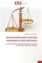Fasseu-f, Frédérique Youmbi Fasseu - Instruments pour une lex