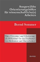 Bernd Sommer - Ausgewählte Orientierungshilfen für wissenschaftliche(s) Arbeiten