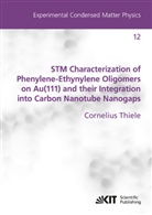 Cornelius Thiele - STM Characterization of Phenylene-Ethynylene Oligomers on Au(111) and their Integration into Carbon Nanotube Nanogaps