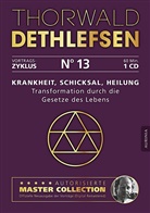 Thorwald Dethlefsen - Krankheit, Schicksal, Heilung - Transformation durch die Gesetze des Lebens, Audio-CD (Audio book)