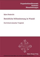 Björn Hinderlich - Betriebliche Mitbestimmung im Wandel