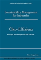 Rupert J. Baumgartner, Hubert Biedermann, Markus Zwainz - Öko-Effizienz
