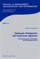 Juliane Schneider - Optimale Delegation bei mehreren Agenten