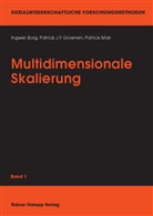 Ingwer Borg, Patrick J Groenen, Patrick J. F. Groenen, Patrick Mair - Multidimensionale Skalierung