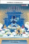 Khenchen Thrangu - Señalando el Dharmakaya