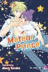 Rusty Gladd, Justin Jordan, Emma Kubert, Meca Tanaka, Tradd Moore, Meca Tanaka - Meteor Prince 1