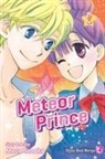 Ed Brisson, Brian Haberlin, David Hine, Jeff Lemire, Meca Tanaka, Meca Tanaka... - Meteor Prince 2