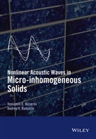 V Nazarov, V. E. Nazarov, Veniami Nazarov, Veniamin Nazarov, Veniamin Radostin Nazarov, Andrey Radostin - Nonlinear Acoustic Waves in Micro-Inhomogeneous Solids