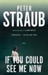 Peter Straub - If You Could See Me Now