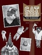 Terry deRoy Gruber, Terry deRoy Gruber, Joseph DeLeo, DeLeo Joseph - Cat High