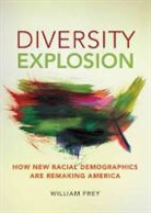 William H. Frey, William H. Frey - Diversity Explosion