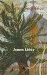 James Liddy - Askeaton Sequence
