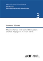 Johannes Wippler - Micromechanical finite element simulations of crack propagation in silicon nitride