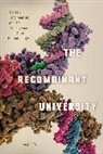 Doogab Yi, Yi Doogab - The Recombinant University
