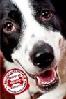 Kate Banks, Kate/ Sheldrake Banks, Rupert Sheldrake - Boy's Best Friend