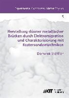 Dominik Stöffler - Herstellung dünner metallischer Brücken durch Elektromigration und Charakterisierung mit Rastersondentechniken
