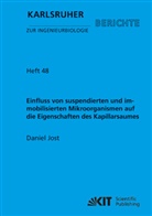 Daniel Jost - Einfluss von suspendierten und immobilisierten Mikroorganismen auf die Eigenschaften des Kapillarsaumes : Untersuchungen im Rahmen der DFG-Forschergruppe 'Dynamic Capillary Fringes, A Multidisciplinary Approach'