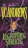 V. C. Andrews, V.C. Andrews - Lightning Strikes