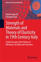 Danil Capecchi, Danilo Capecchi, Giuseppe Ruta - Strength of Materials and Theory of Elasticity in 19th Century Italy