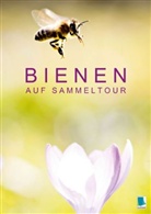 Calvendo - Bienen auf Sammeltour (Posterbuch DIN A2 hoch)