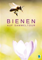Calvendo - Bienen auf Sammeltour (Tischaufsteller DIN A5 hoch)