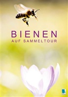 Calvendo, Kircher - Bienen auf Sammeltour (Posterbuch DIN A4 hoch)