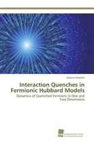 Simone Hamerla - Interaction Quenches in Fermionic Hubbard Models