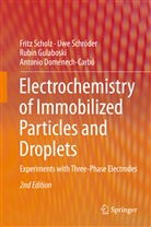 Antonio Doménech-Carbó, Rubin Gulaboski, Rubin et al Gulaboski, Frit Scholz, Fritz Scholz, Uw Schröder... - Electrochemistry of Immobilized Particles and Droplets