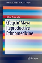Jillian De Gezelle - Q'eqchi' Maya Reproductive Ethnomedicine