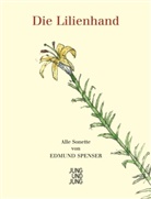 Edmund Spenser - Die Lilienhand