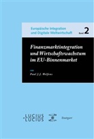 Paul J. J. Welfens - Finanzmarktintegration und Wirtschaftswachstum im EU-Binnenmarkt
