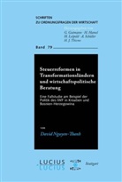 David Nguyen-Thanh - Steuerreform in Transformationsländern und wirtschaftspolitische Beratung