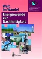 Wissenschaftlicher Beirat der Bundesregierung GlobaleUmweltveränderu - Welt im Wandel: Energiewende zur Nachhaltigkeit