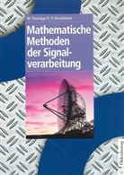 Walte Strampp, Walter Strampp, Evgenij Vorozhtsov, Evgenij V Vorozhtsov, Evgenij V. Vorozhtsov - Mathematische Methoden der Signalverarbeitung