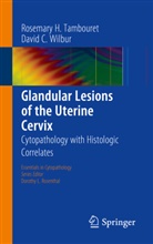 Rosemary Tambouret, Rosemary H Tambouret, Rosemary H. Tambouret, David C Wilbur, David C. Wilbur - Glandular Lesions of the Uterine Cervix