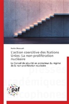 Nadia Dhaouadi, Dhaouadi-n - L action coercitive des nations